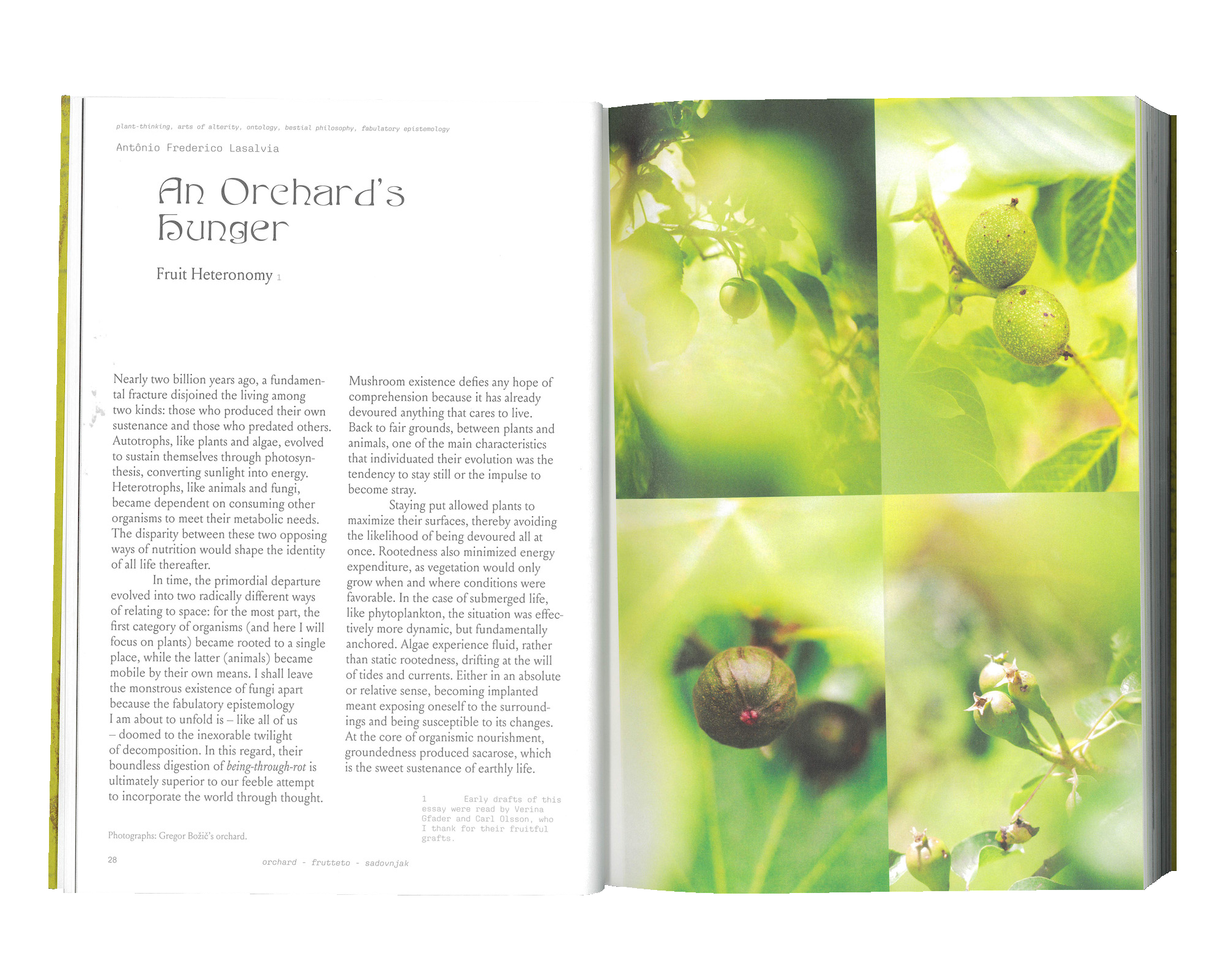 for Robida 11: Orchard frutteto sadovnjak
